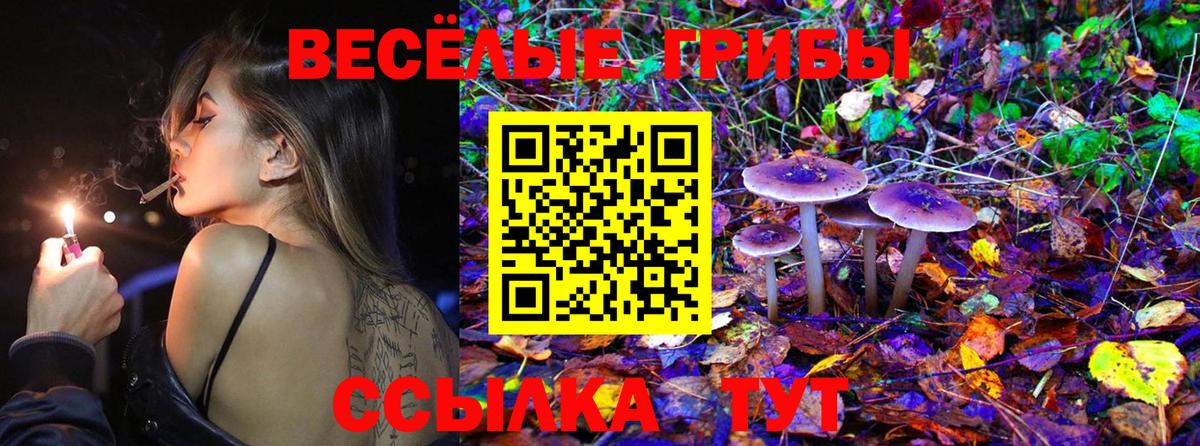 Галлюциногенные грибы Cubensis Нарткала