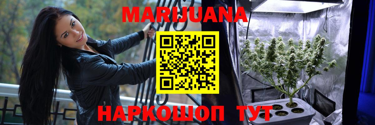 Канабис план Нарткала